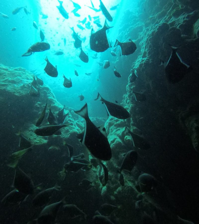 DCIM100GOPROGOPR2349.JPG
